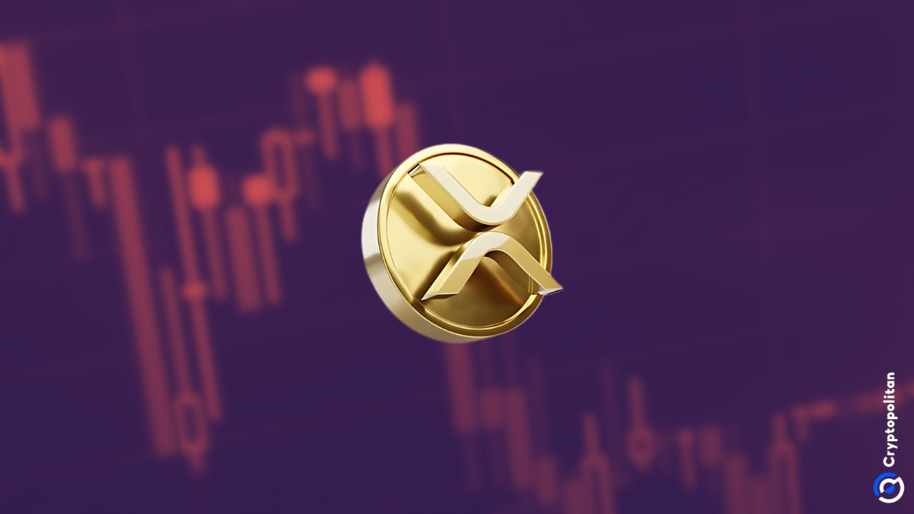 XRP价格急剧下跌14%,创下多年最高点后失去动能——关键支撑在哪里?