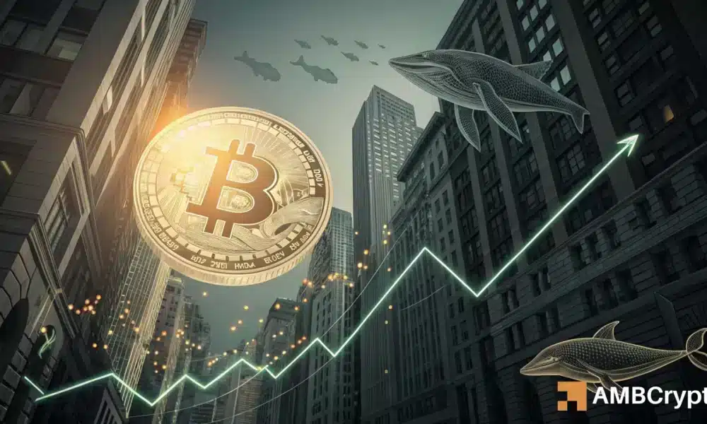 比特币供应减少,机构投资 1.64 亿美元 BTC——价格走势或将受影响?